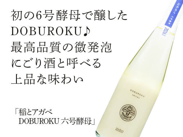 稲とアガべ　DOBUROKU　6号酵母