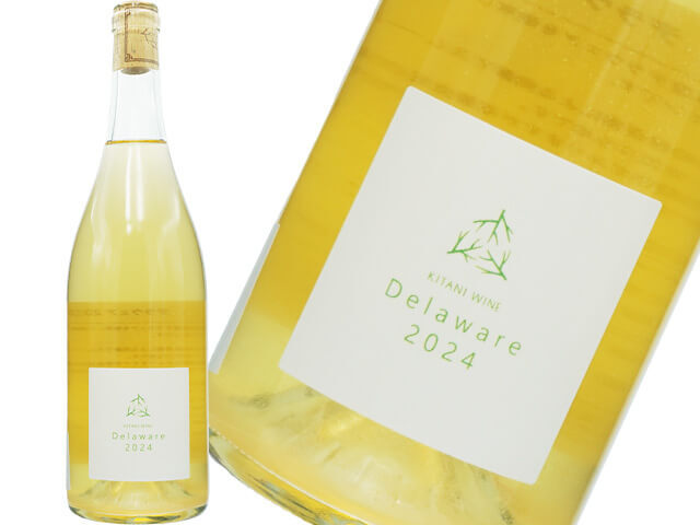 ドメーヌ木谷 Dom.kitani / デラウェア 2024