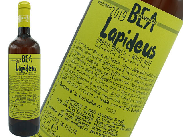 パオロベア　ラピデウス2019　（白）