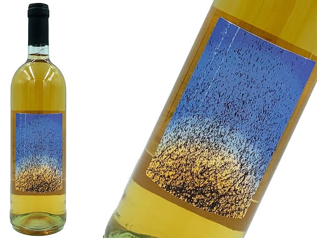 maria-bortolotti-2020-eligio-blanco