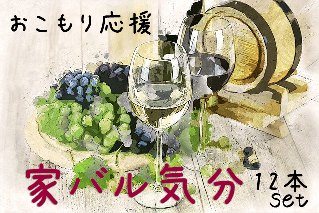 おこもり応援！　家バル気分12本セット