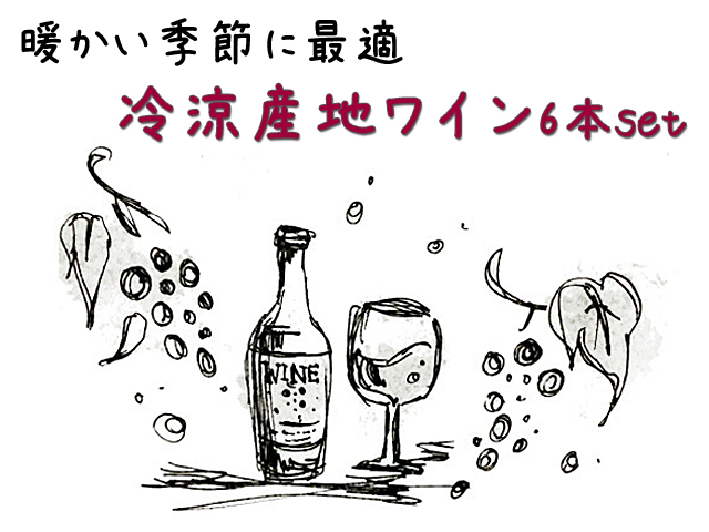 暖かい季節に最適！冷涼ワイン6本セット