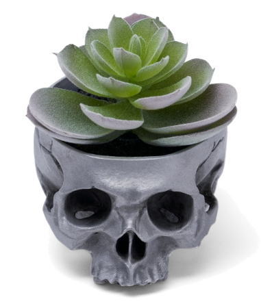 髑髏鉢　Skull-ＰＯＴ  BURDEN OF PROOF ＢＯＦＰ－２８５