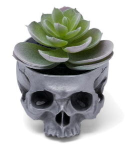 髑髏鉢　Skull-ＰＯＴ  BURDEN OF PROOF ＢＯＦＰ－２８５