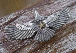 ＴＨＥ ＢＩＮＧＯ ＢＲＯＴＨＥＲＳ ザ・ビンゴブラザーズ イーグル Ｋ２４スター