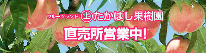 たかはし果樹園直売所営業中！