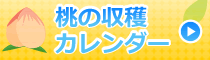 梨の収穫カレンダー