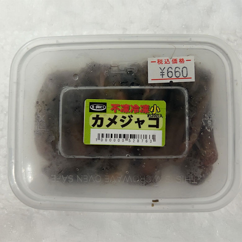 冷凍　カメジャコ小　約20匹入　ダンゴ釣り　海上釣堀　刺し餌　1000000528763