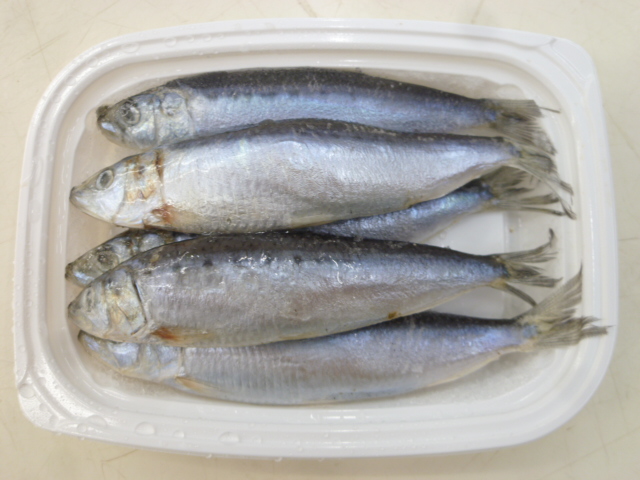 イワシ(5匹入)