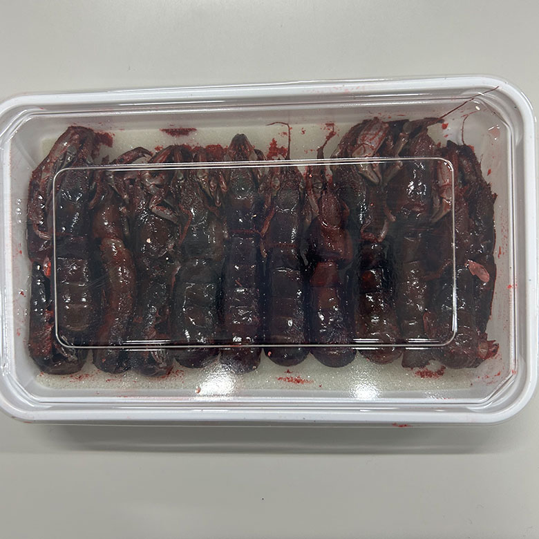 冷凍 カメジャコ 赤 12匹 ダンゴ釣り 海上釣堀 刺し餌 kamejyako-260608