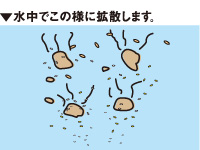 チヌパワームギスペシャル_4