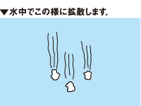 チヌパワーV10（ブイテン）白チヌ_3