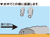 Bチヌ遠投_4