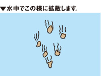 チヌの道_3