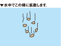 チヌグルメ_3