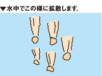 瀬戸内チヌ_4
