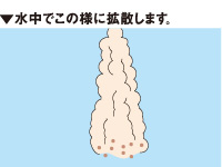 チヌスパイス_3