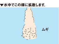 ムギパワー_3
