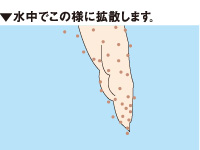 グレパワー遠投_3