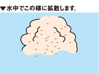 グレジャンボ_3