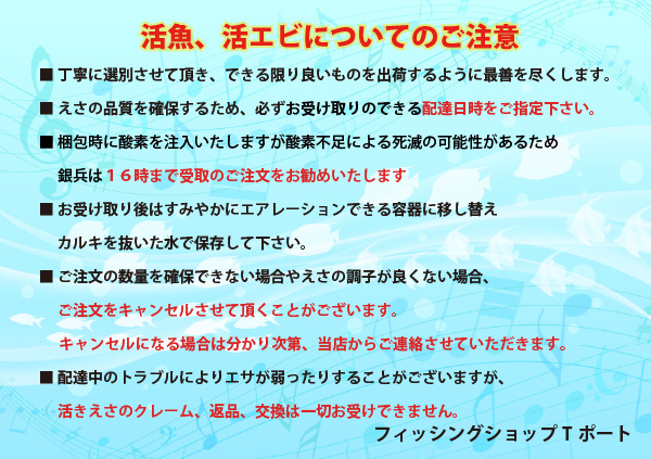 2020活魚エビ注意文