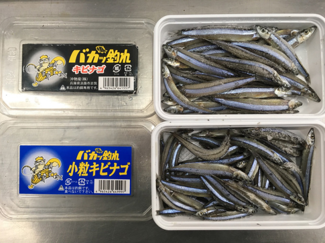 きびなご（小・中）