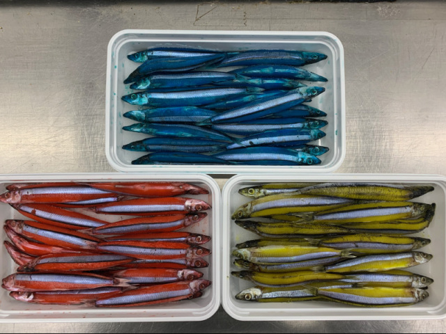 ヒロキュー 韋駄天キビナゴ レッド ブルー イエロー