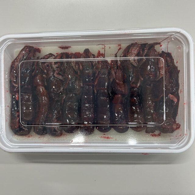 冷凍 カメジャコ 赤 12匹 ダンゴ釣り 海上釣堀 刺し餌 kamejyako-260608
