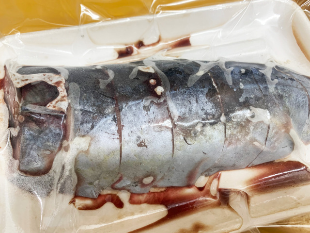 冷凍エサ オリジナル カツオの短冊 真空パック 海上釣堀 釣餌