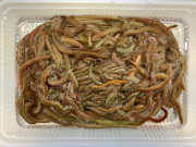 青250g