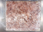 冷凍エサ　生オキアミ　マキエ用（約1.5kg）８枚まで１個口　50054