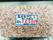 冷凍エサ　生オキアミ Ｌ（3kg）　撒き刺し兼用　650047