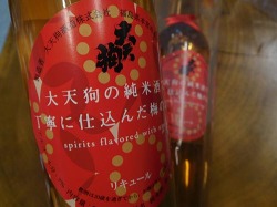 大天狗の純米酒で丁寧に仕込んだ梅のお酒 500ml （箱なし）