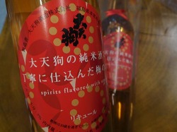 大天狗の純米酒で丁寧に仕込んだ梅のお酒 500ml （クリアカートン入り）