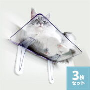 【地域限定送料無料】タカラ産業　キャットステップ（Cat Steps）PC40222-3S　3枚セット販売