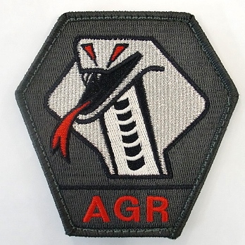 ワッペン　飛行教導隊　アグレッサー（AGR）　コブラ　マジック付