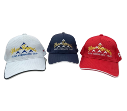 自衛隊グッズ　ブルーインパルス　メッシュキャップ　3色