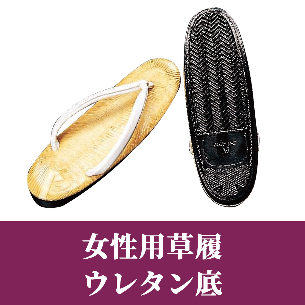 女性用草履 ウレタン底【女性用 白花緒】