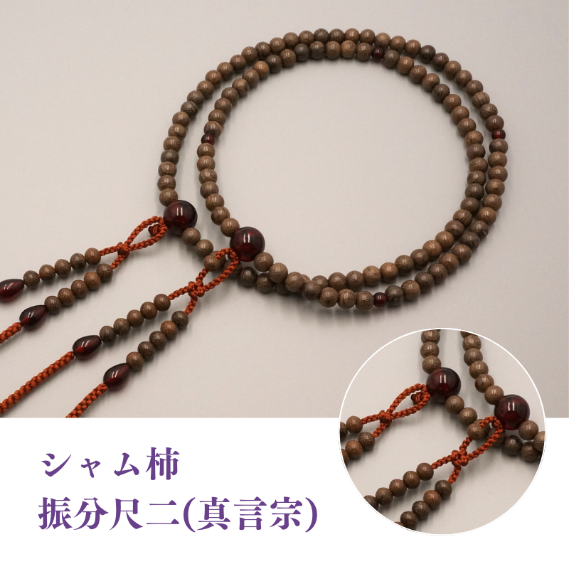 シャム柿 振分尺二(真言宗)