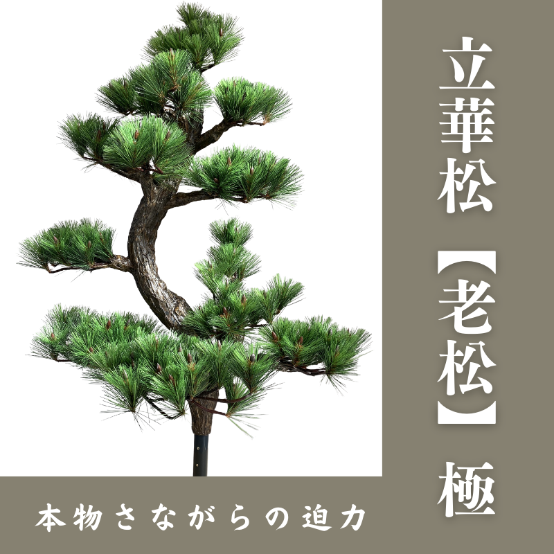 【※ご納期約2週～】立華松(極)【常花 造花 老松】