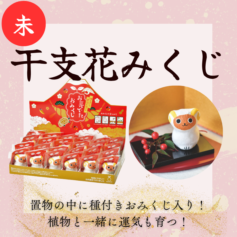 干支 花みくじ 24個入り【未】