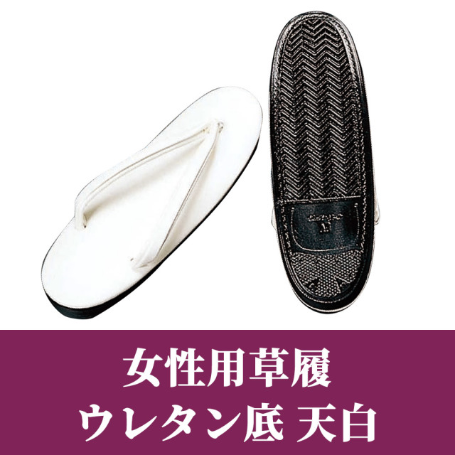 女性用草履 ウレタン底天白【女性用 白花緒】