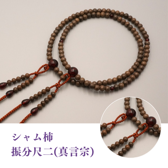 シャム柿 振分尺二(真言宗)