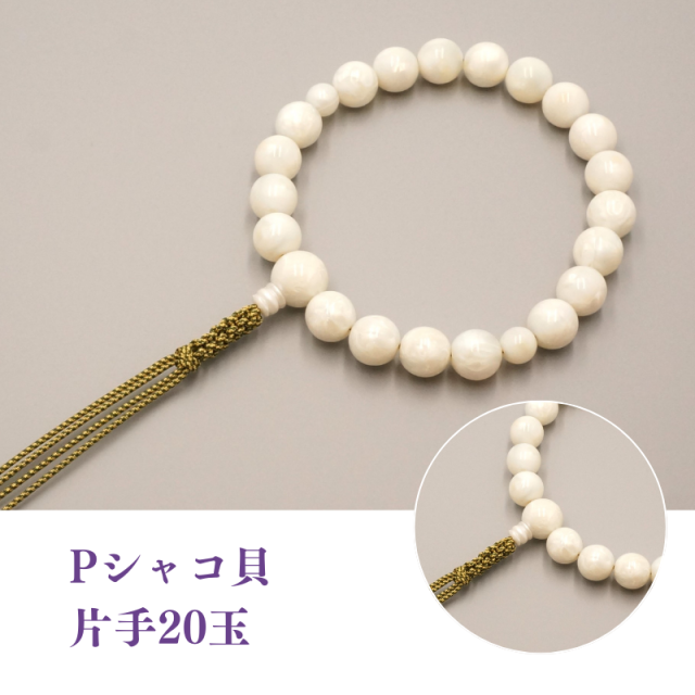 Pシャコ貝 片手20玉