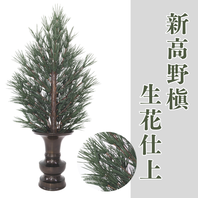 新高野槇 生花仕上