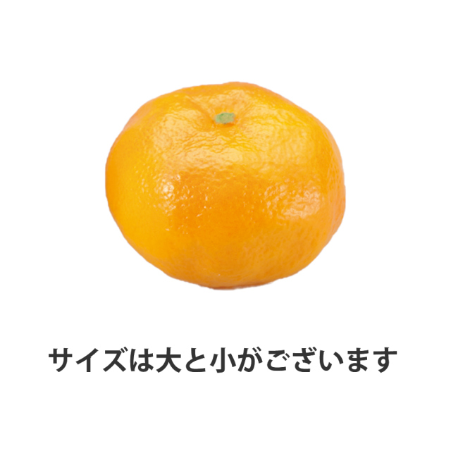 極上お供え品 極上みかん【樹脂製 10個セット 大小選べます 食品模型 寺院