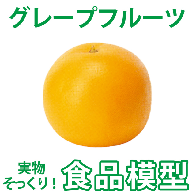 【食品模型 寺院用仏具 神社用神具】グレープフルーツ
