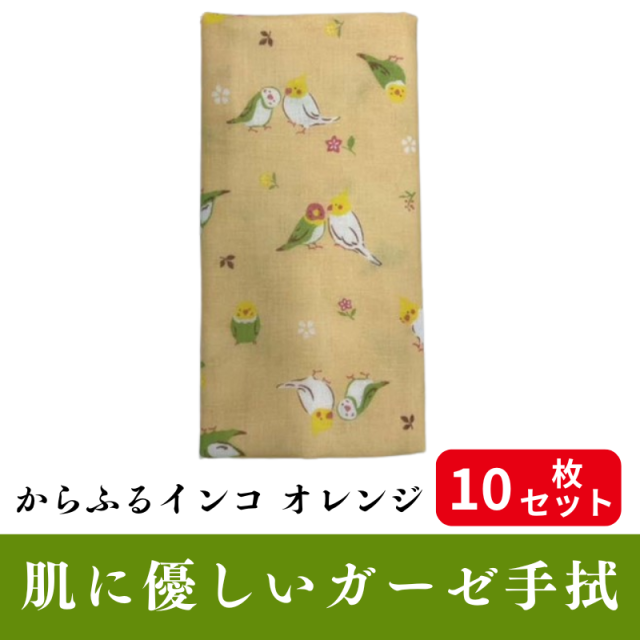 からふるインコ オレンジ