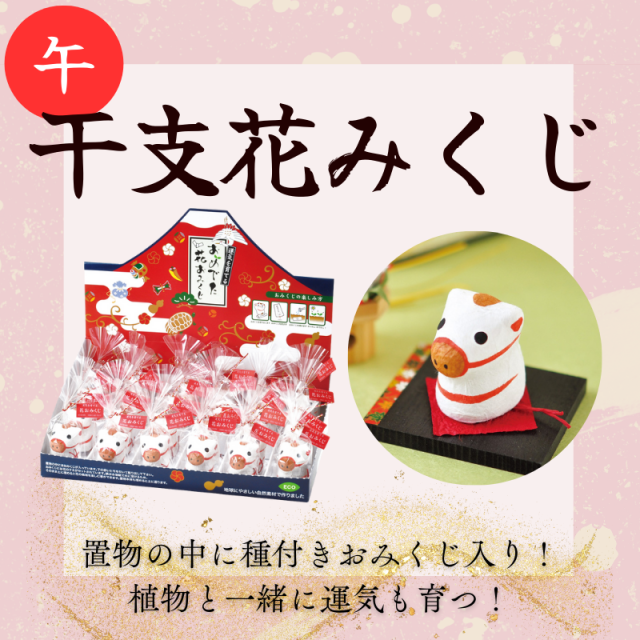 干支 花みくじ 24個入り【午】