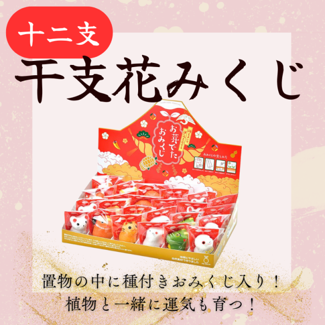 干支 花みくじ 24個入り【十二支】